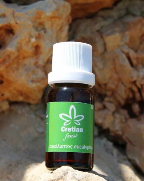 Essential oil eucalyptus 10ml