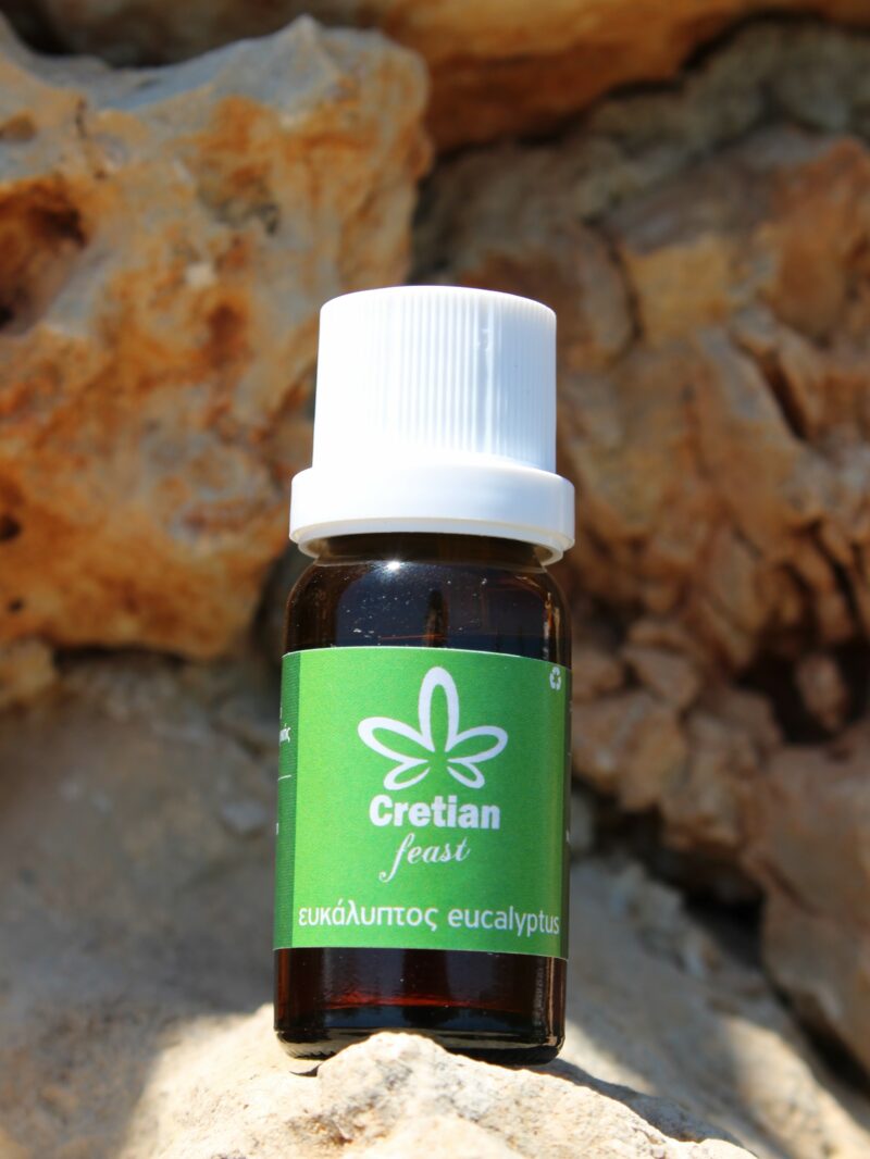 Essential oil eucalyptus 10ml